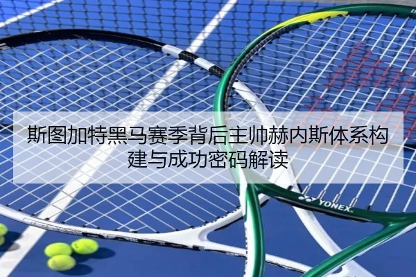 斯图加特黑马赛季背后主帅赫内斯体系构建与成功密码解读